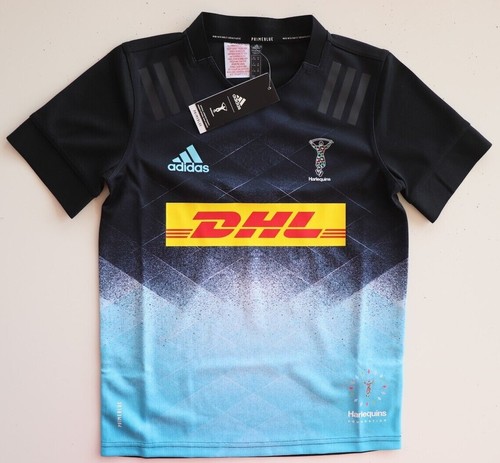 Adidas primeblue harlequins - primeblue,